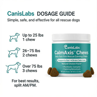 Zelo™ Postbiotic Chews