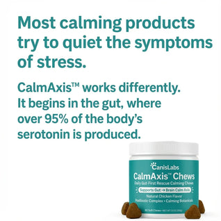 Zelo™ Postbiotic Chews