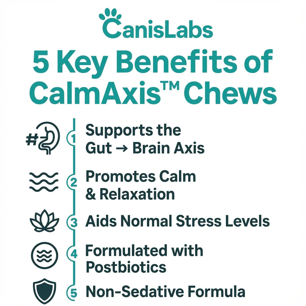 Zelo™ Postbiotic Chews