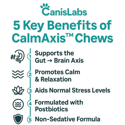 Zelo™ Postbiotic Chews