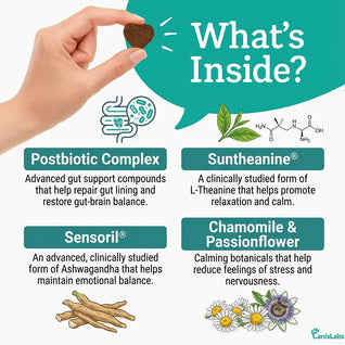 Zelo™ Postbiotic Chews